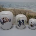 https://cdn1.peelrust.nl/uploads/Sales/2/2570-2023-02-04-09-05-39-1.jpg